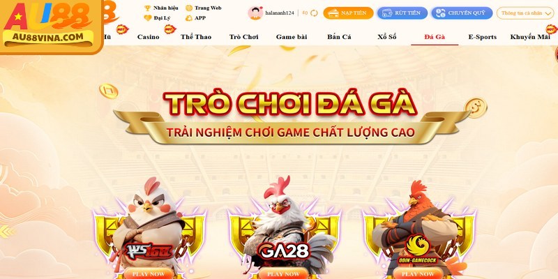 Sảnh đá gà Au88 livestream trực tiếp các trận đấu gà chọi kịch tính