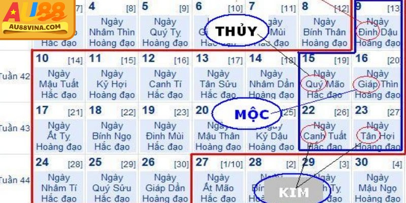 Các nhóm màu mạng gà đá theo ngũ hành và dấu hiệu nhận biết cơ bản