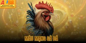Màu Mạng Gà Đá